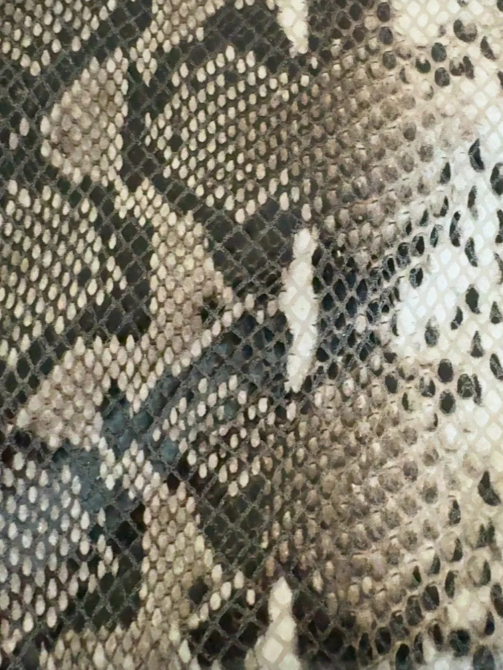 Vegan Snakeskin Print Zip Wristlet Wallet Taupe Brown Ivory